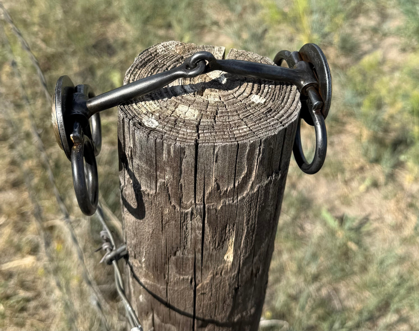 Butterfly bit with brass concho