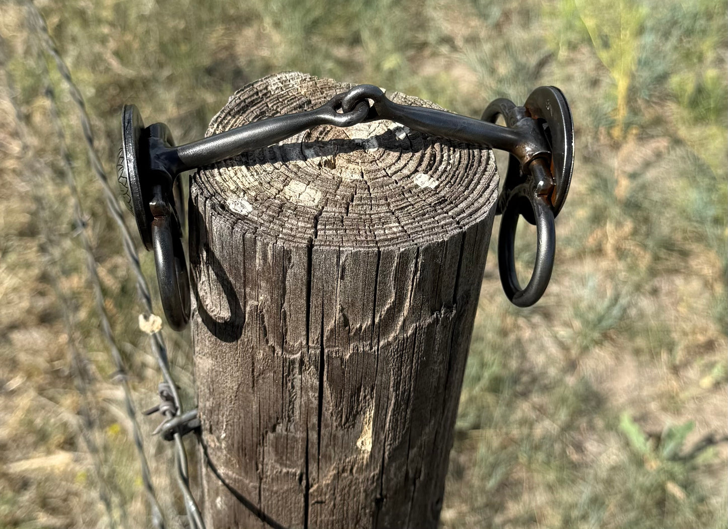 Butterfly with engraved sunflower concho