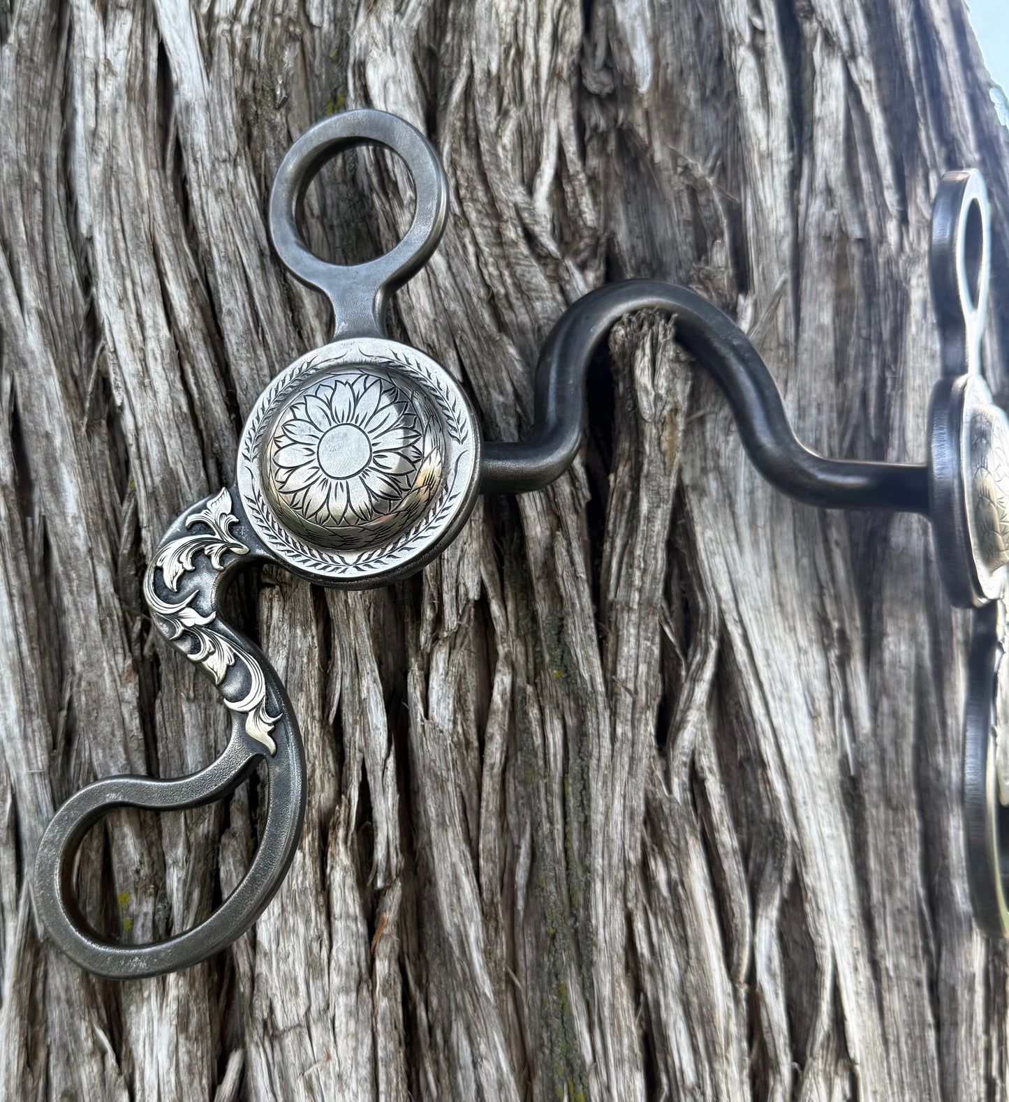 Calvary shank concho bit with 2x2 port