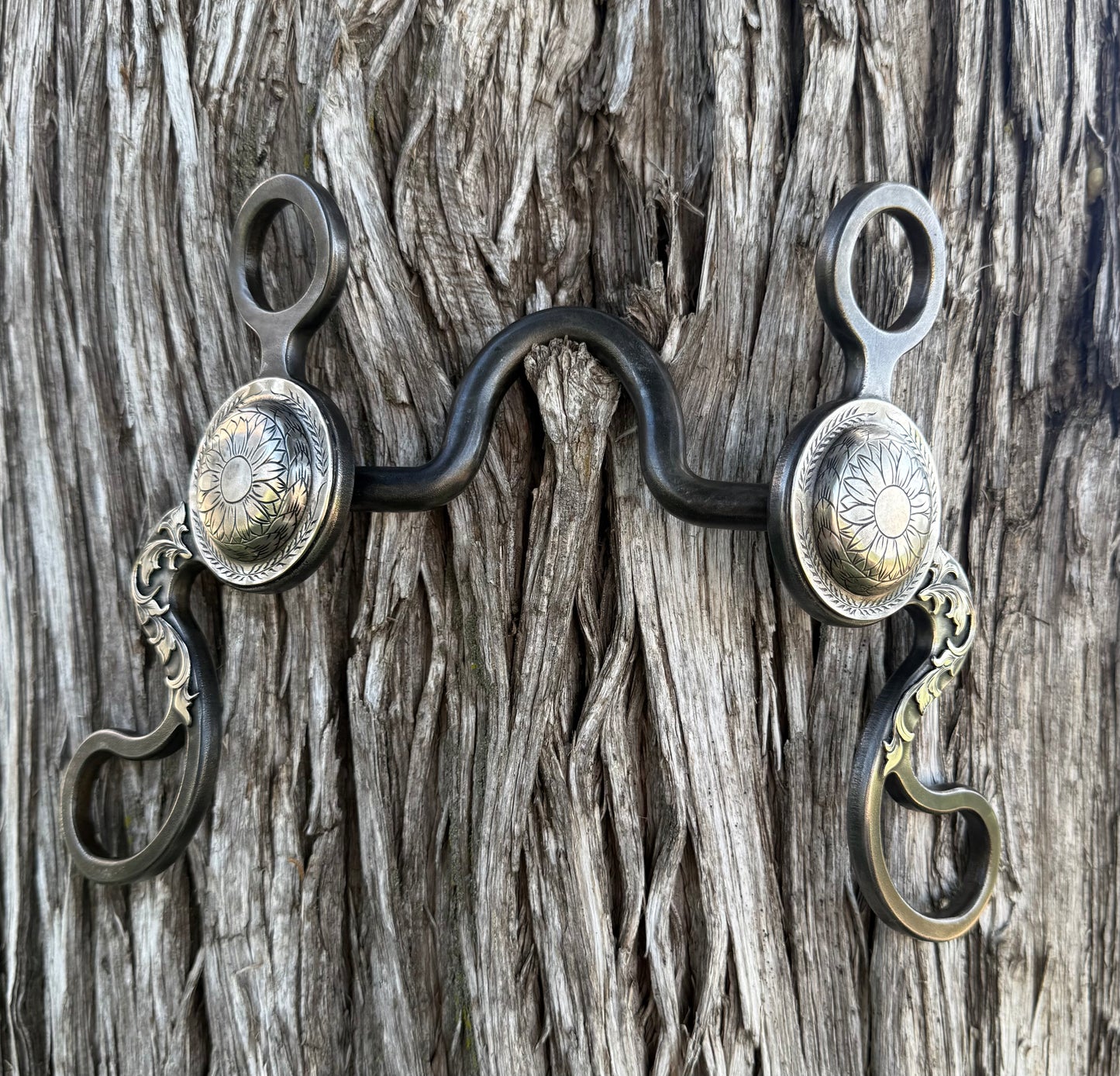 Calvary shank concho bit with 2x2 port