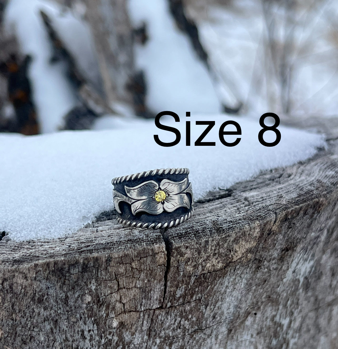 Sterling rope border ring