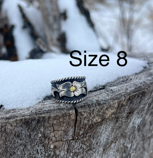 Sterling rope border ring