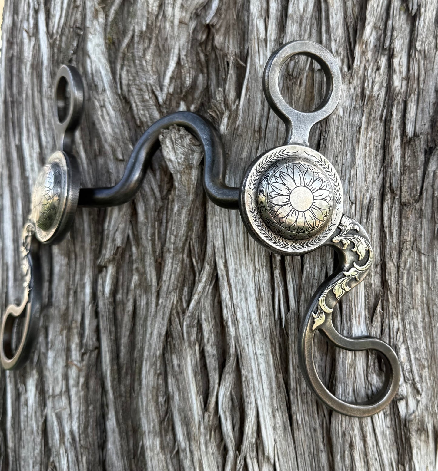 Calvary shank concho bit with 2x2 port