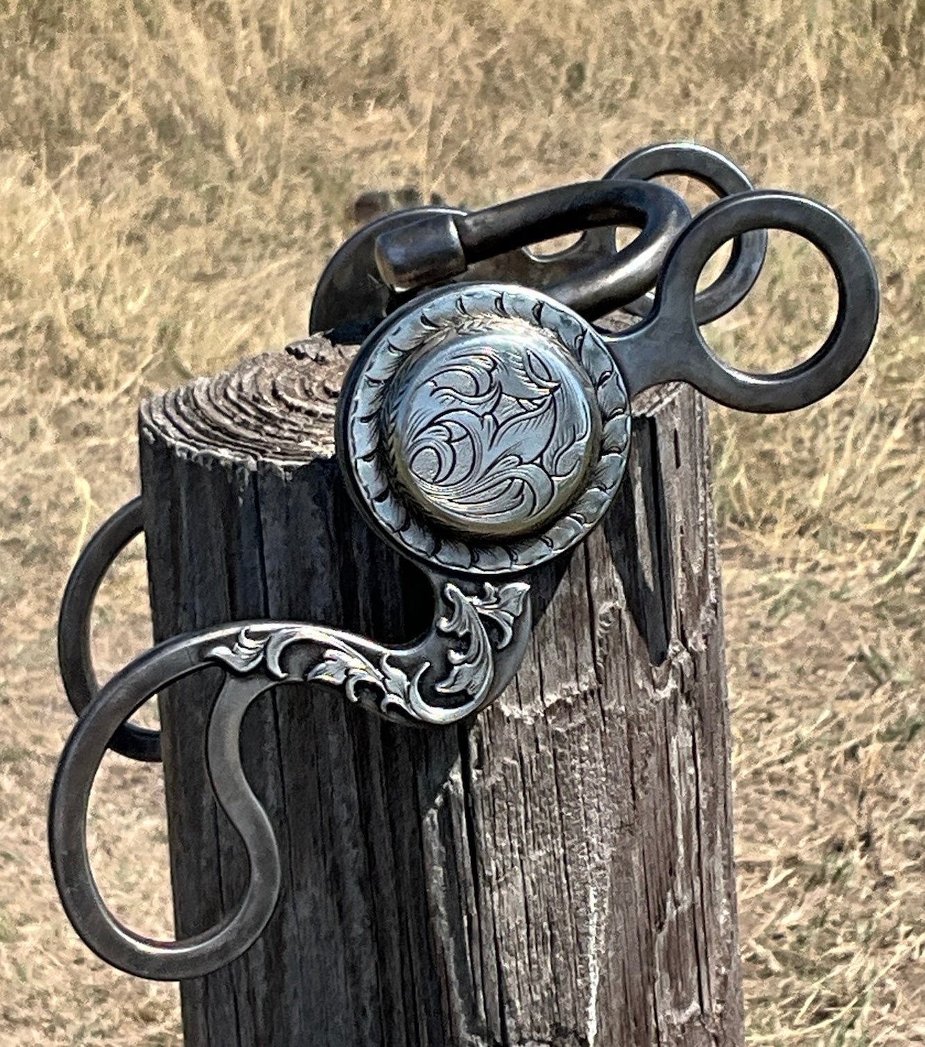 Correction bit with Concho Calvary shanks