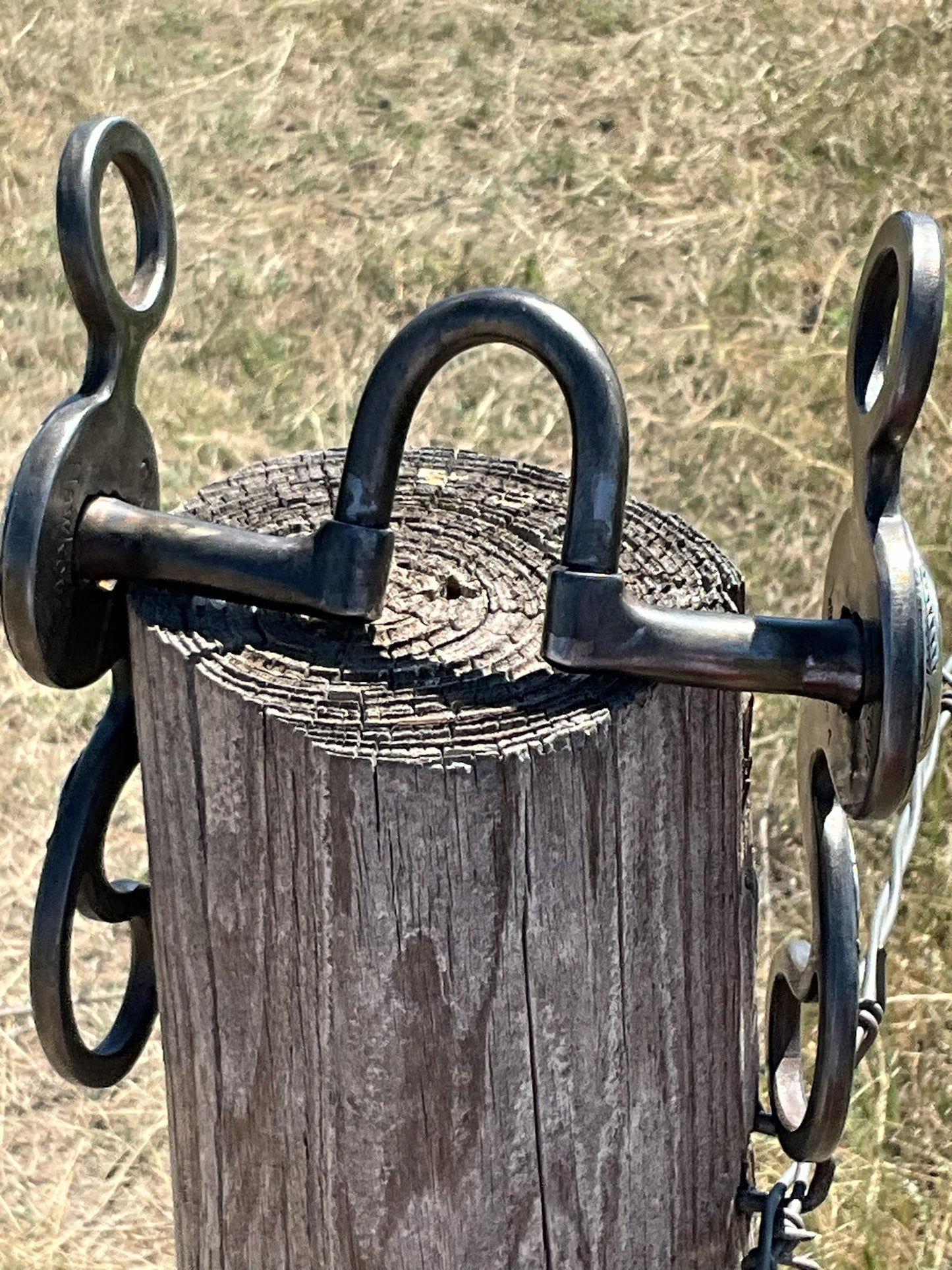 Correction bit with Concho Calvary shanks