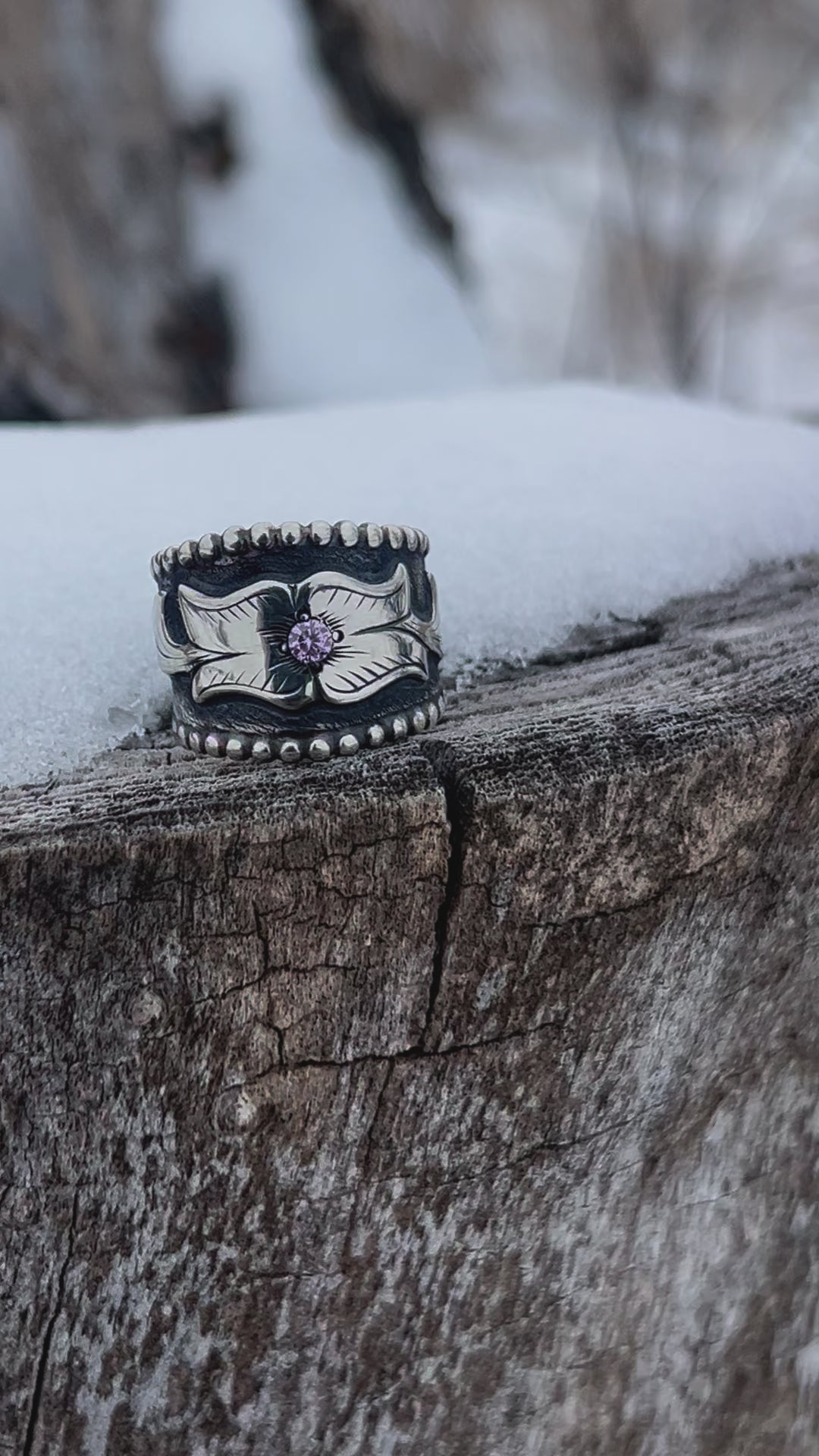 Beaded border ring – Hawkeye bits and spurs